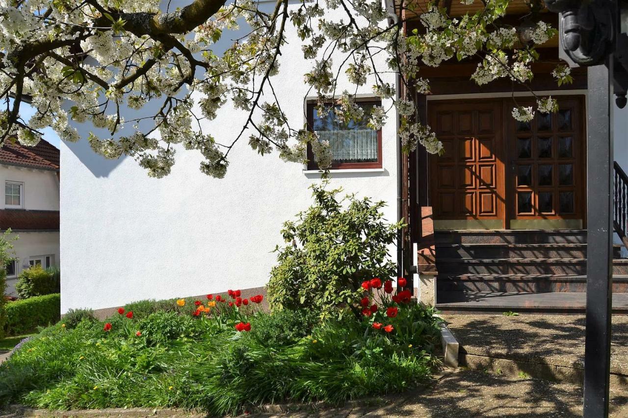 Fewo Ackermann Modautal Bagian luar foto